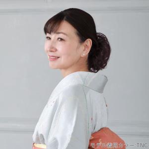 つけ毛 お団子 ウィッグ ポニーテール シュシ...の詳細画像1