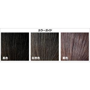 和装シニヨンE ウィッグ 着物 つけ毛 ヘアピ...の詳細画像3