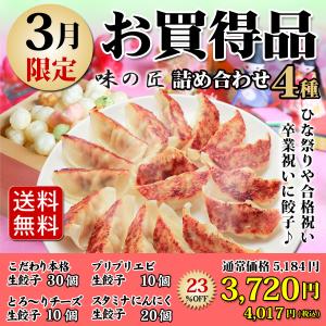 【３月度限定商品】送料無料 詰め合わせ 冷凍餃子  生餃子 餃子 ぎょうざ ギョーザ ギョウザ 冷凍生餃子 お取り寄せ セット 冷凍食品 グルメ
