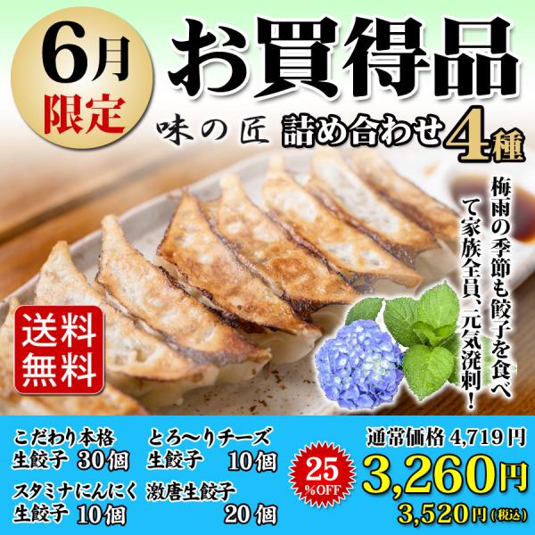 【６月度限定商品】【２５%OFF】送料無料 詰め合わせ 冷凍餃子  生餃子 餃子 ぎょうざ ギョーザ...