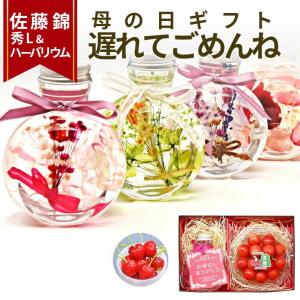 遅れてごめんね 母の日 ギフト ハーバリウム 丸...の商品画像