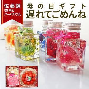 遅れてごめんね 母の日 ギフト ハーバリウム角瓶 さくらんぼ 佐藤錦 秀品 Ｍ玉 送料無料 花束 ハーバリウム ギフトカード プレゼント