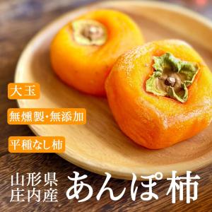 あんぽ柿 干し柿 大玉 16個入れ 無添加 山...の詳細画像1