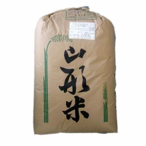 令和8年産 新米 先行予約 山形県産 はえぬき...の詳細画像1