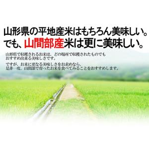 令和8年産 新米 先行予約 山形県産 はえぬき...の詳細画像3