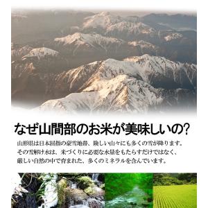 令和8年産 新米 先行予約 山形県産 はえぬき...の詳細画像4