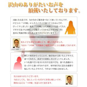 令和8年産 新米 つや姫 玄米 30kg 山形...の詳細画像3