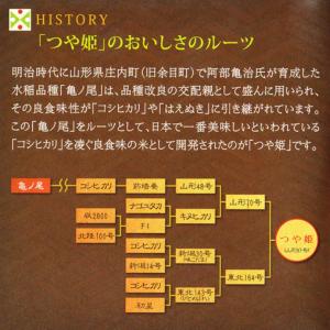 令和8年産 新米 つや姫 玄米 30kg 山形...の詳細画像4
