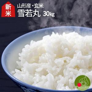 ゆきやか 精米 10キロ 令和6年産 お米 10kg 令和6年」の人気商品一覧 | 安い商品を通販サイトから探す