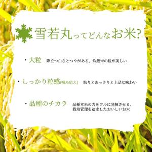 令和8年産 新米 雪若丸 玄米 30kg 山形...の詳細画像2