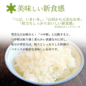 令和8年産 新米 雪若丸 玄米 30kg 山形...の詳細画像3