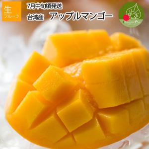 高級 アップルマンゴー 約2.5kg (約5〜7玉前後)  台湾から直輸入 台湾産 マンゴー 送料無料 お中元