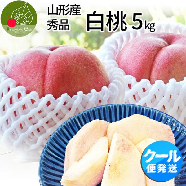 桃 秀品 白桃 5kg 山形県産 ギフト 箱 川中島ほか 送料無料 クール便発送 山形県産 贈答 贈...