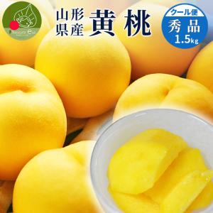 山形県産 黄桃 秀品 約1.5kg (6玉前後) クール便 化粧箱入り 硬い桃 黄桃 産地直送 黄桃　ギフト 桃 送料無料 果物 フルーツ