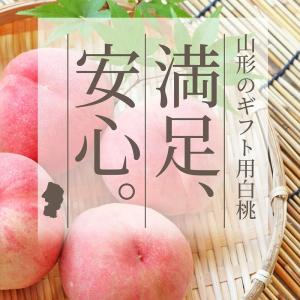 硬い桃 白桃 秀品 おどろき 2kg 山形県産...の詳細画像2