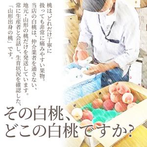 硬い桃 白桃 秀品 おどろき 2kg 山形県産...の詳細画像3