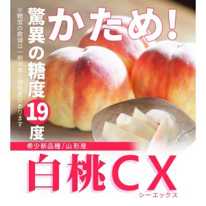 硬い桃 白桃 秀品 白桃CX 2.5kg 山形...の詳細画像2