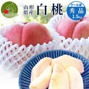 山形県産 白桃 秀品 約1.5kg (6玉前後) クール便 固い桃 柔らかい桃 時期に応じてお届け 硬い桃 品種指定不可