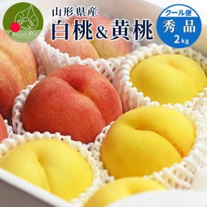 87.季節限定福島県産若桃摘果桃硬い桃加工用箱込み