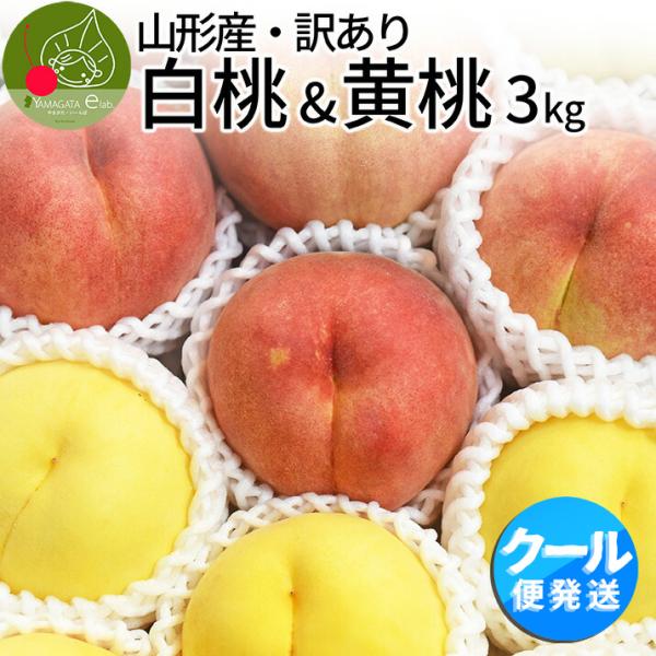 山形県産 白桃 &amp; 黄桃 訳あり 約3kg 8-14玉 詰め合わせ クール便 固い桃 柔らかい桃 硬...