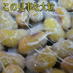 秘伝 納豆 100g ×1 えっ!?塩で食べる...の詳細画像1