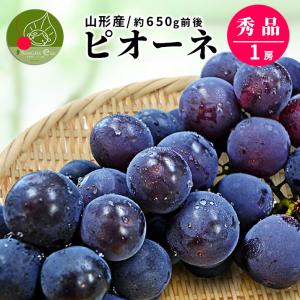ぶどう 秀品 1房 (約650g前後) ピオーネ...の商品画像