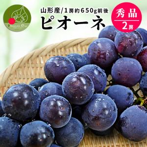 ぶどう 秀品 2房 (約1.2kg前後:1房約650g) ピオーネ 山形県産 ブドウ ギフト 贈答 プレゼント 化粧箱 贈り物 大粒 産地直送 (遠方送料加算) 果物