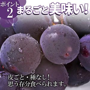 ぶどう 秀品 2房 (約1.2kg前後:1房約...の詳細画像2