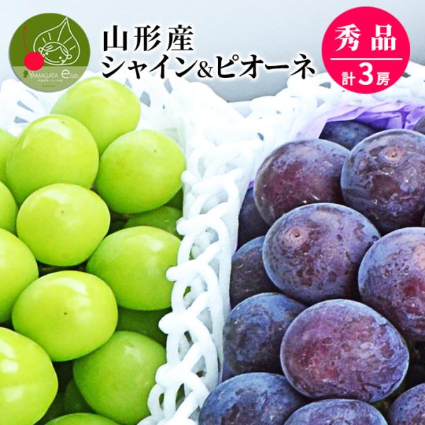 ぶどう セット 詰め合わせ シャインマスカット 1房 &amp; 大粒 ピオーネ 2房 合計約2kg 約65...