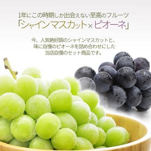 ぶどう セット 詰め合わせ シャインマスカット...の詳細画像1
