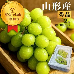 ぶどう 蔵出し冬のシャインマスカット 約2kg /氷温貯蔵 送料無料 常温