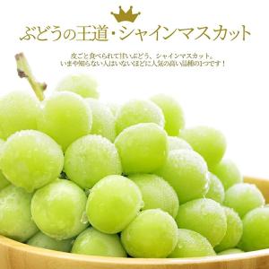 ぶどう 秀品 シャインマスカット 2房 (1房...の詳細画像1