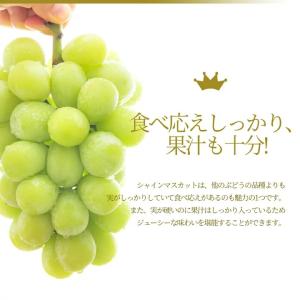 ぶどう 秀品 シャインマスカット 2房 (1房...の詳細画像4