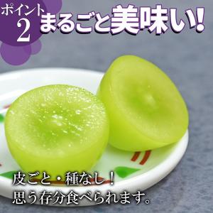 ぶどう セット 詰め合わせ シャインマスカット...の詳細画像2