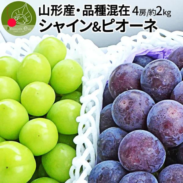 山形県産 お徳用 大粒ピオーネ 2房 &amp; シャインマスカット 2房 合計約2kg（約500g×4房）...