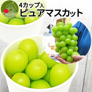 カップ入りシャインマスカット ピュアマスカット 6カップ入り 送料無料