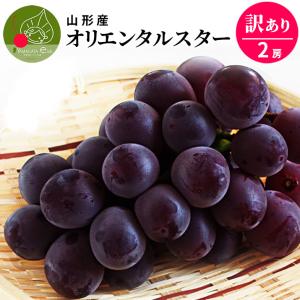 オリエンタルスター 産地直送 2房（約1kg前後） 山形県産 お徳用 大粒 訳ありぶどう 山形県 産地直送 種無し 大粒 果物