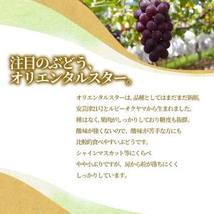 オリエンタルスター 産地直送 2房(約1kg前...の詳細画像2