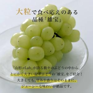 山形県産 ぶどう 雄宝 1房 (約700g) ...の詳細画像4