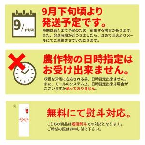 山形県産 ぶどう 雄宝 1房 (約700g) ...の詳細画像5