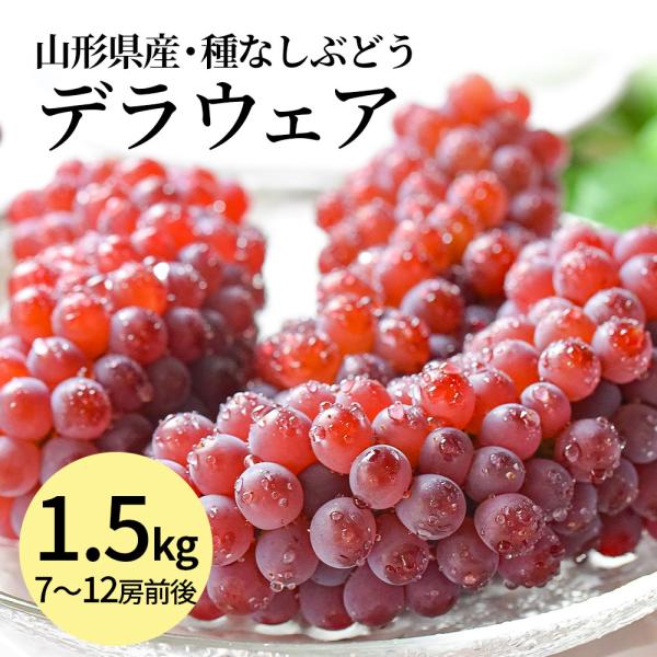 デラウェア ぶどう 1.5kg 7〜12房 L以上 種なし ブドウ 小粒 秀品 クール便 ギフト お...