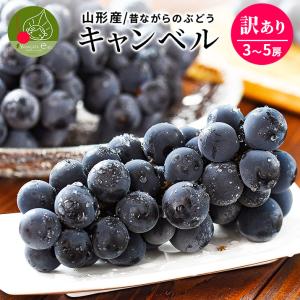 キャンベル ぶどう 訳あり M以上 約1kg 3...の商品画像