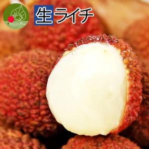 高級 生ライチ 約1kg (30〜40玉前後)  台湾から直輸入