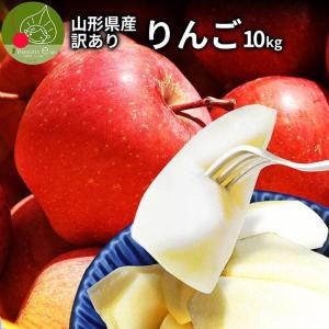 りんご 訳あり 10kg 山形県産 サンふじ リンゴ ご家庭用 ジュース お徳用 訳ありりんご 10キロ 産地直送 送料無料 遠方送料加算 訳あり りんご 果物