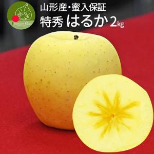 りんご はるか 2kg 5〜8玉前後 蜜入り 山形県産 自家用 黄色 リンゴ 贈答 ギフト 贈り物 プレゼント 化粧箱 産地直送 送料無料 遠方送料加算｜azimiya