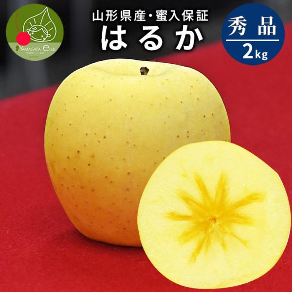 りんご はるか 2kg 5〜8玉前後 蜜入り 山形県産 自家用 黄色 リンゴ 贈答 ギフト 贈り物 ...
