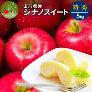 りんご 特秀 5kg 13〜20玉前後 山形県産 シナノスイート リンゴ 贈答用 ギフト 贈り物 プレゼント 化粧箱 産地直送 送料無料 遠方送料加算 果物