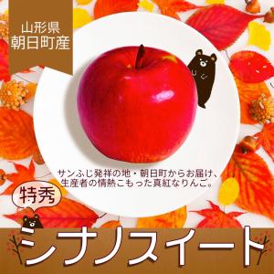りんご 特秀 5kg 13〜20玉前後 山形県...の詳細画像1