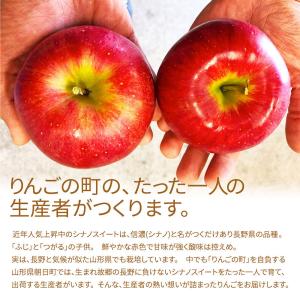 りんご 特秀 5kg 13〜20玉前後 山形県...の詳細画像2