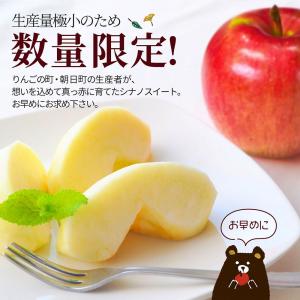 りんご 特秀 5kg 13〜20玉前後 山形県...の詳細画像5